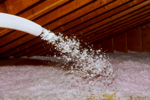 Best Cellulose Insulation in Churubusco, IN