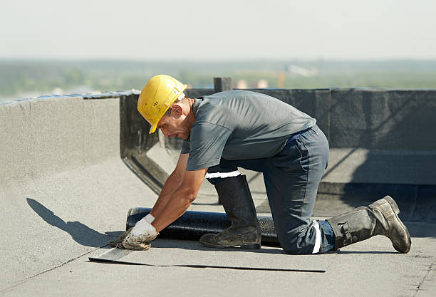 Best Geographic-Specific Insulation Services in Churubusco, IN